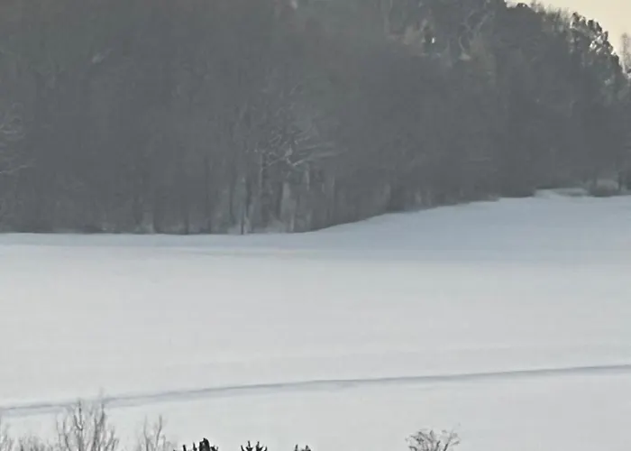 Apartment Ferienwohnung